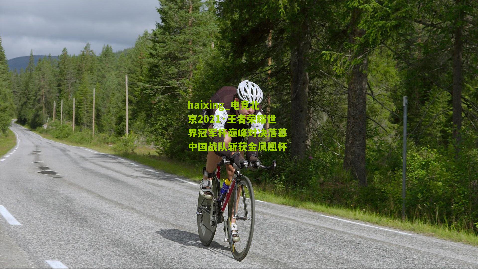 电竞北京2021·王者荣耀世界冠军杯巅峰对决落幕 中国战队斩获金凤凰杯