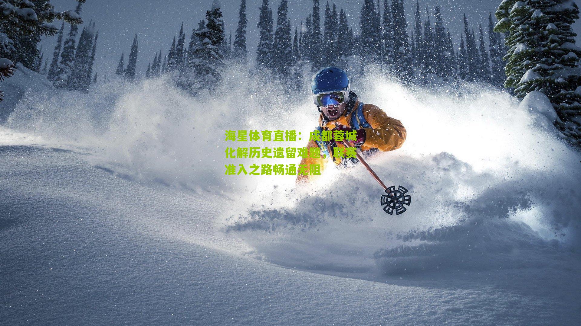 成都蓉城化解历史遗留难题,联赛准入之路畅通无阻