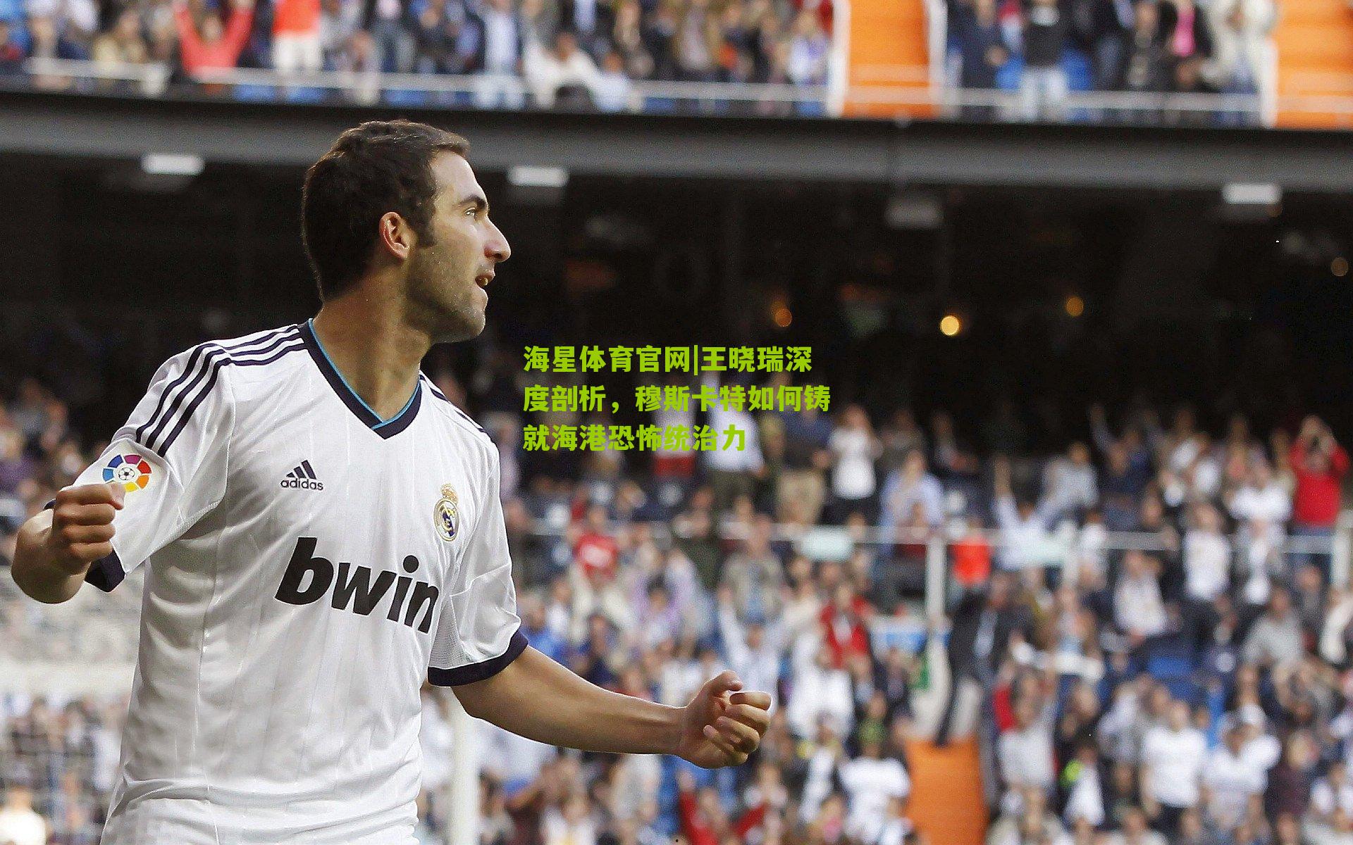 王晓瑞深度剖析,穆斯卡特如何铸就海港恐怖统治力