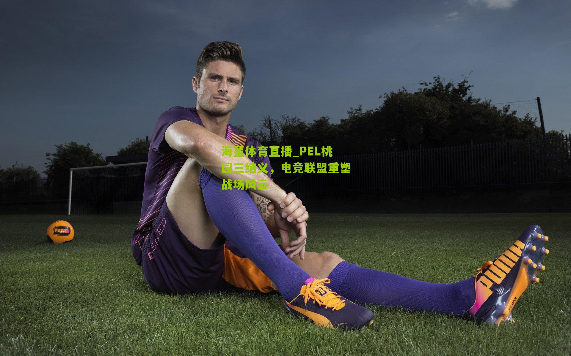 PEL桃园三结义，电竞联盟重塑战场风云